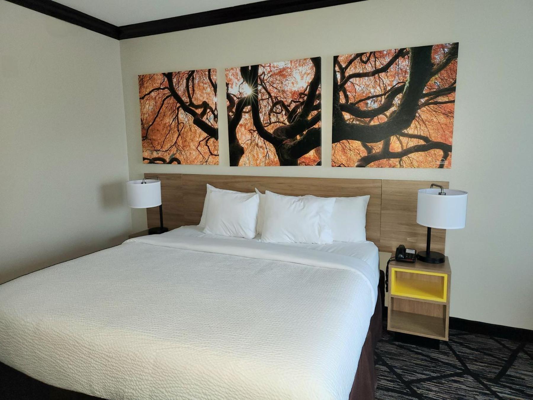 Days Inn By Wyndham Baton Rouge I-10 Екстер'єр фото